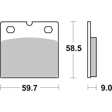 Plaquettes de Frein SBS 554 (HS)-2