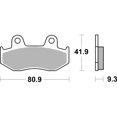 Plaquettes de Frein SBS 709 SI-2