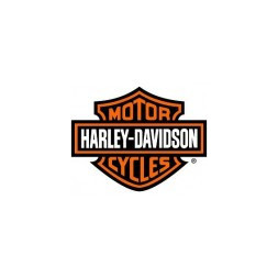 HARLEY DAVIDSON Plaquettes - Une gamme freinage complète pour les Moto Harley Davidson