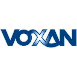 VOXAN Plaquettes - Une gamme freinage complète pour les Moto Voxan